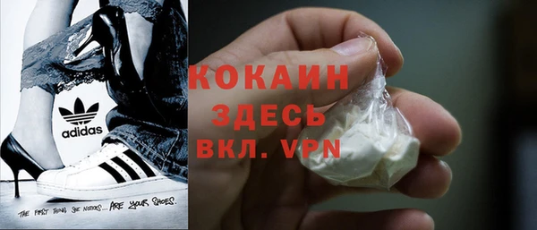 шишки Абдулино