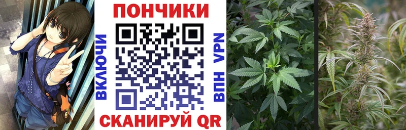 Канабис семена  Адыгейск 